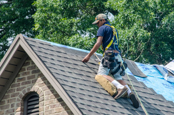 Best Roof Maintenance Services  in Fort Denaud, FL